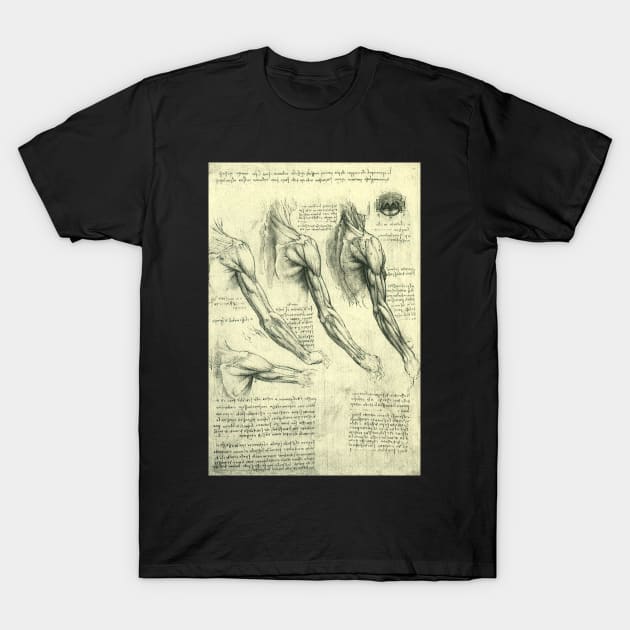 Human Anatomy Arm and Shoulder by Leonardo da Vinci T-Shirt by MasterpieceCafe